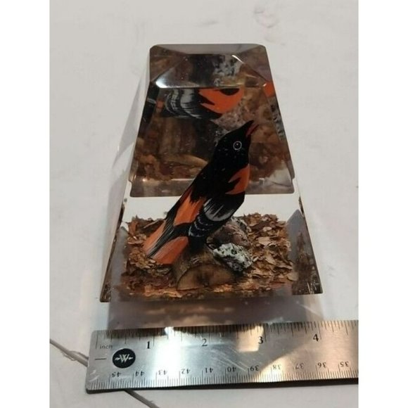 Acrylic Paperweight With Orange and Black Bird On A Branch Inside 4.25" by 5" - Picture 7 of 8